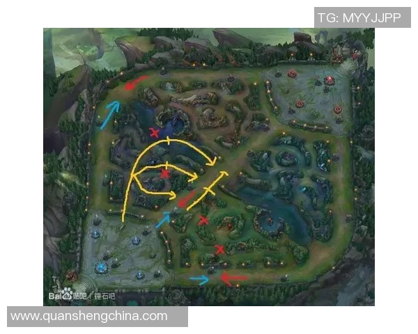 杭州排球队节奏打法深度解析与战术优势剖析