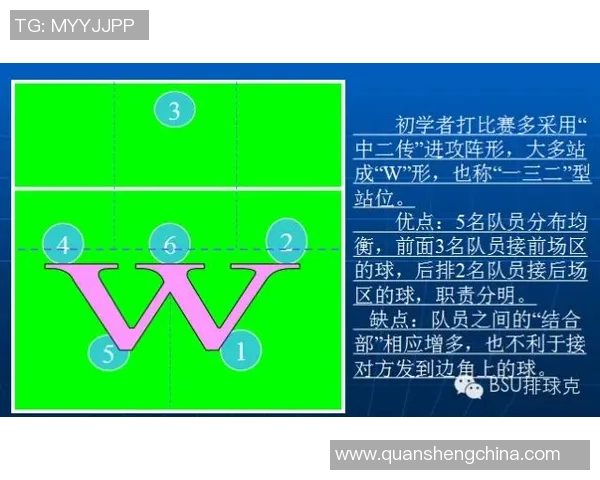 深圳排球队的整体压制打法深度分析与战术解析