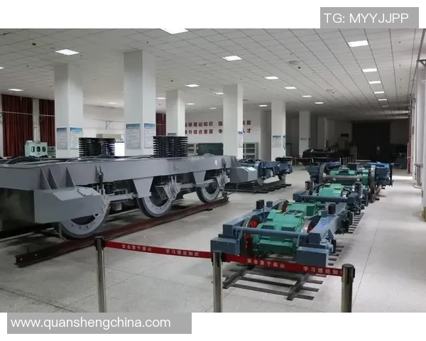 深入分析西安羽毛球队的运营策略与发展模式探讨